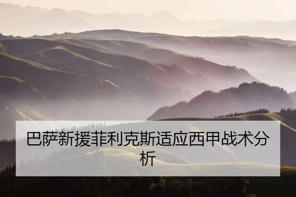 ba-sa-xin-yuan-fei-li-ke-si-shi-ying-xi-jia-zhan-shu-fen-xi-2-710.jpg